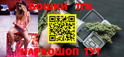тгк Камышлов