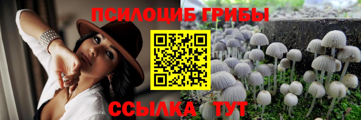 Кондопога  Галлюциногенные грибы Psilocybe  Вход с VPN 